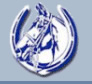 British Horse Society Approved Establishment