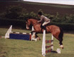 Woolacombe Riding Stables Home Page
