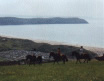 Riding Out in North Devon